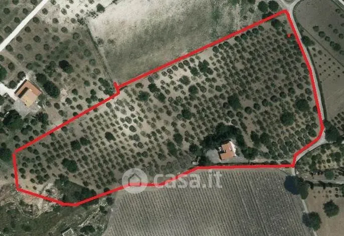 Villa with Garden in San Cataldo