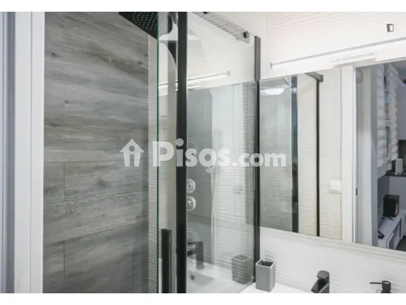 Vannitoad - 1-Bedroom Apartment in Madrid Centre