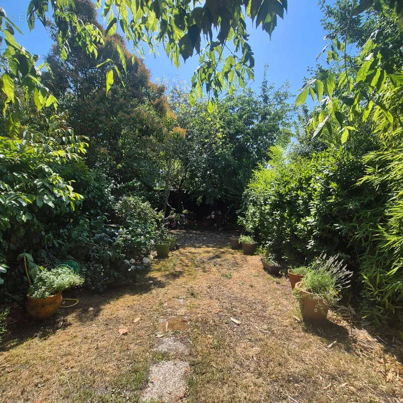 Garden - Bordeaux-Style House with Pool in Bègles
