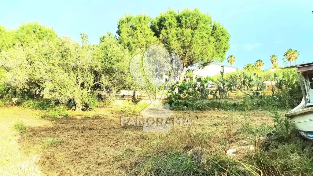 Garden - Villa with Olive Grove in Partinico