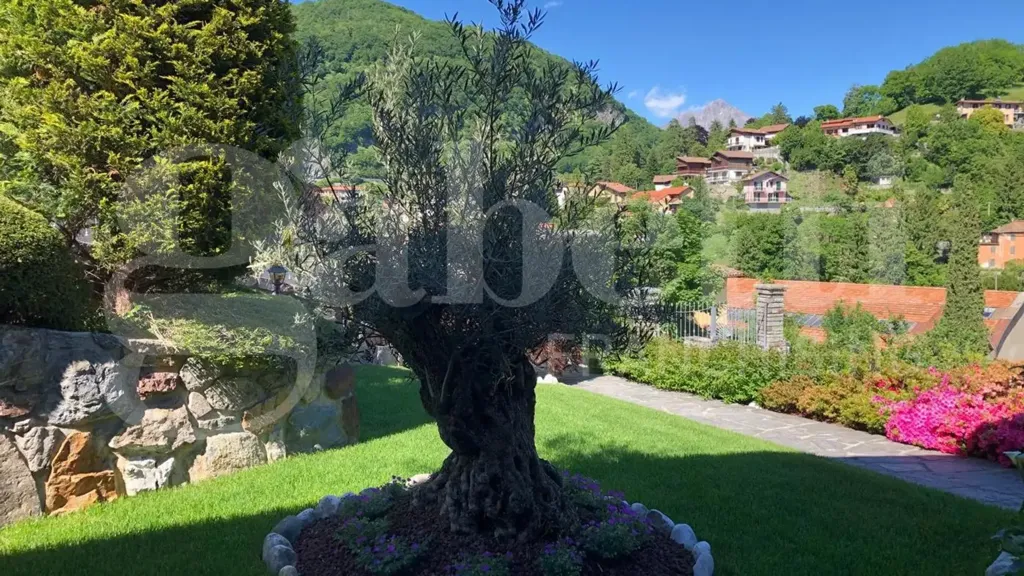 Aed - Villa with Panoramic View in Asso