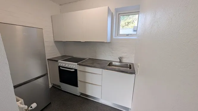 Cuisine - Renovated Flat with Kitchen in Vejle