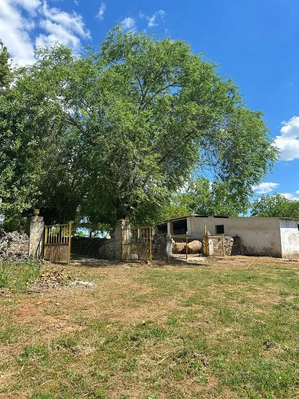 Välivaade - Rustic Cortijo with Pool in Alanís