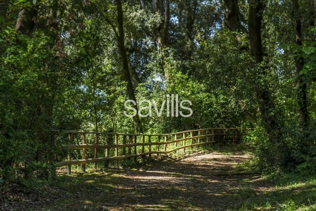 Jardin - Rustic Villa with Panoramic View in Capannori