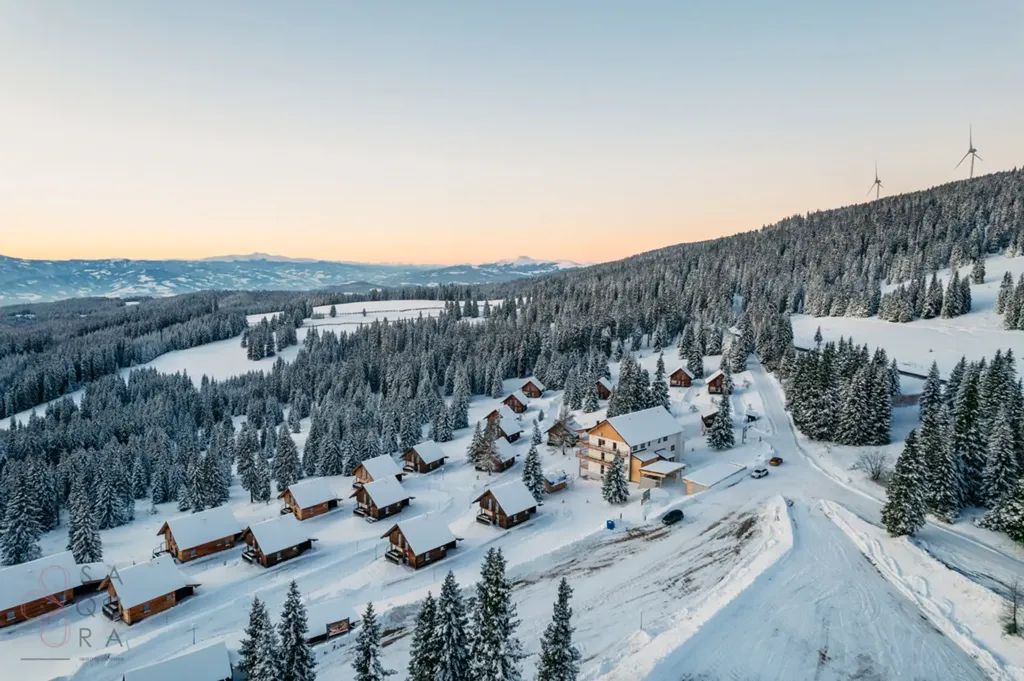Vista aerea - Modern Holiday Complex with Ski-In/Ski-Out in Posch Alpe