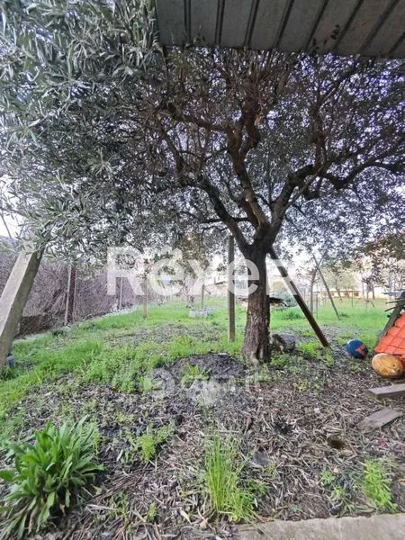 Aed - Independent House with Garden in Raiano