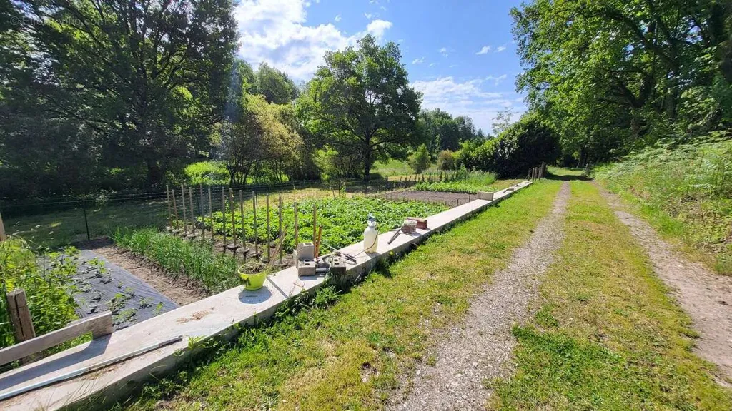 Jardin - Maison de Plain-Pied avec Dépendance dans un Cadre Naturel