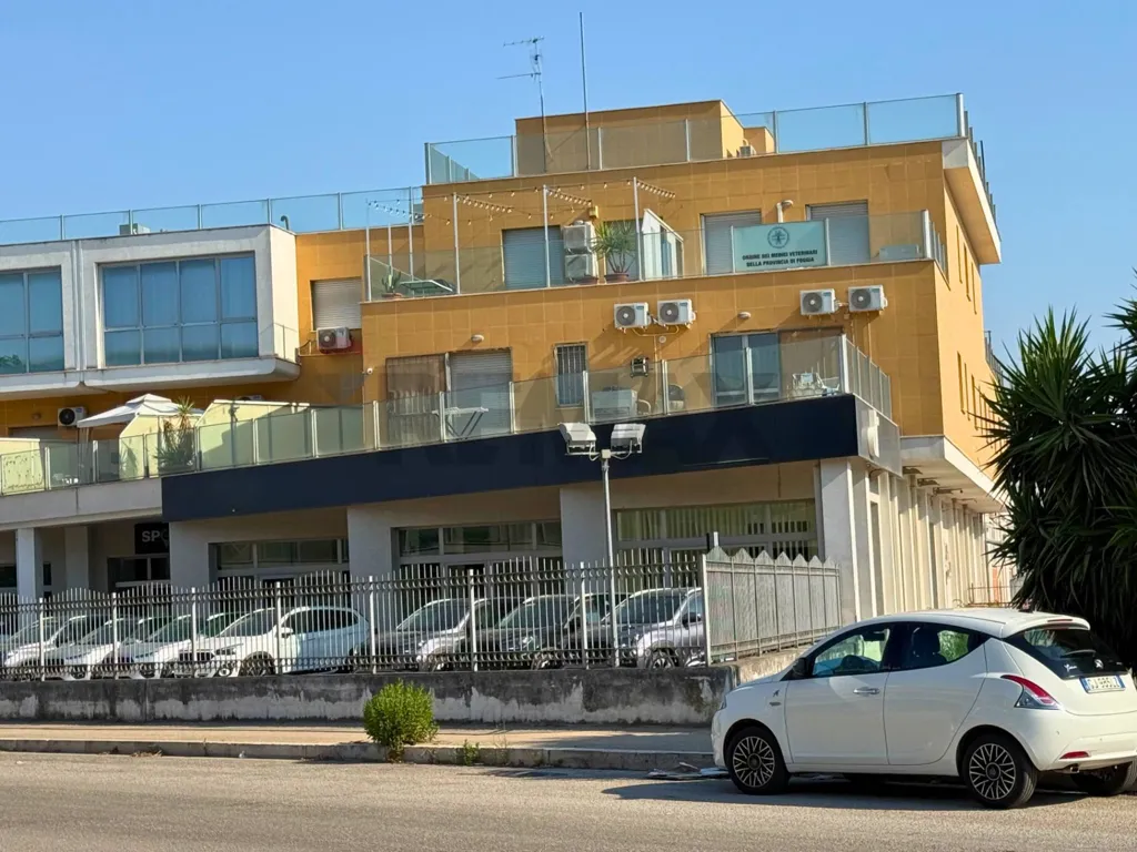 Exterior - Office with Terrace in Foggia