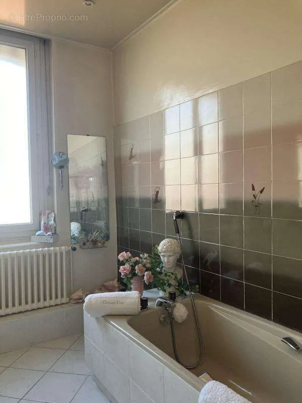 Vannitoad - 5-Piece Apartment with Balcony in Lyon 2ème