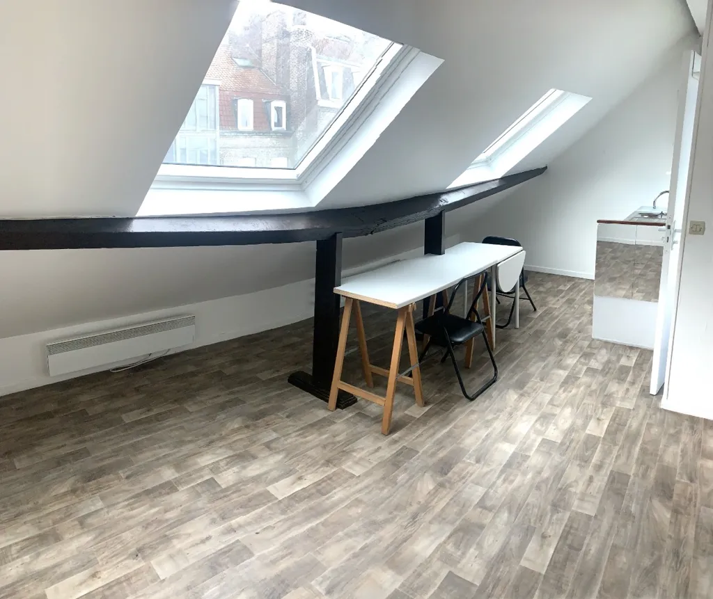 Toad - Studio Apartment with Mezzanine in Lille