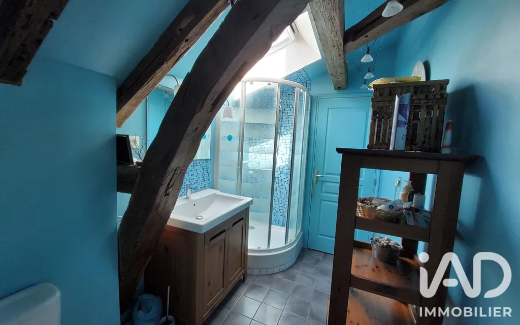 Salles de bain - Maison de Caractère avec Jardin à Trélazé