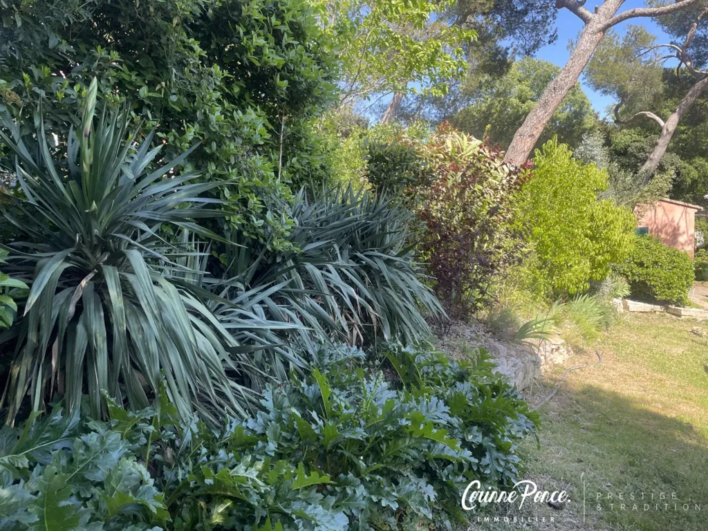 Aed - Provençal Villa with Mazet in Nîmes