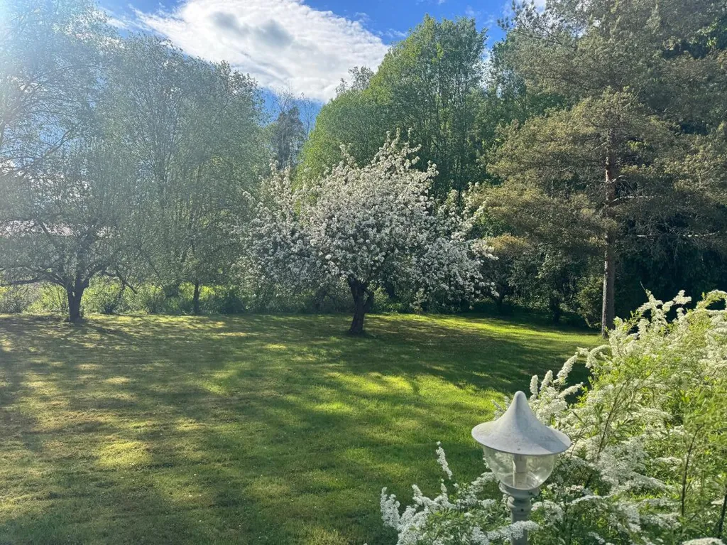 Garden - Spacious Detached House with Sauna in Parainen