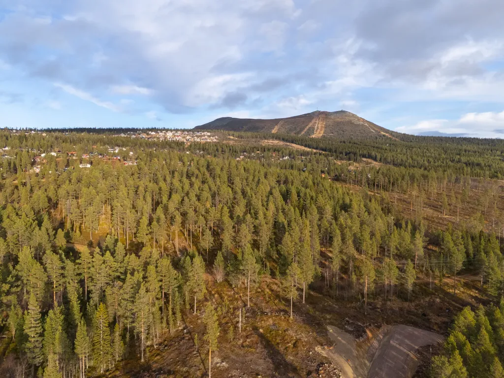 Plot with Ski Access in Härjedalen