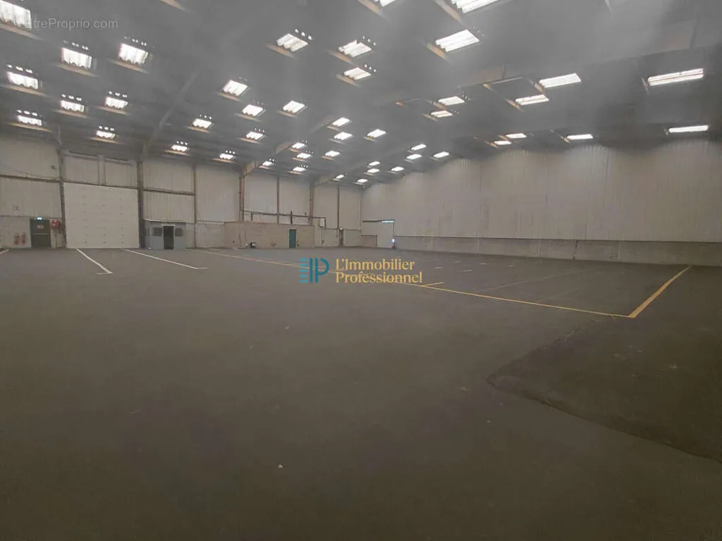 Garaaž - Warehouse with 1200 m² Leased Space in Concarneau