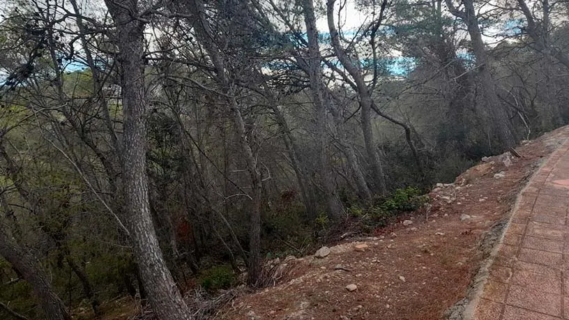 Aed - Urban Plot for Development in Sant Pere de Ribes