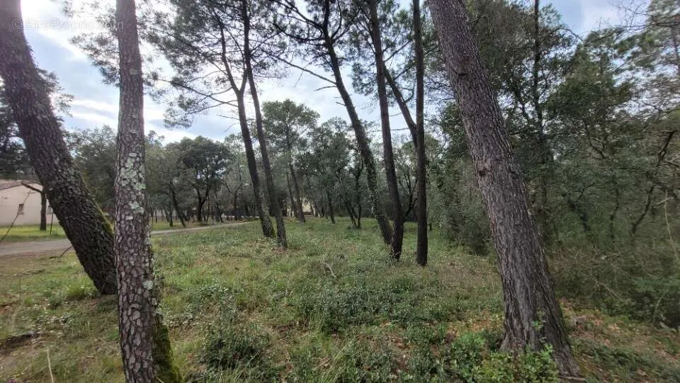 Aed - Wooded Plot with Garden in Suze-La-Rousse