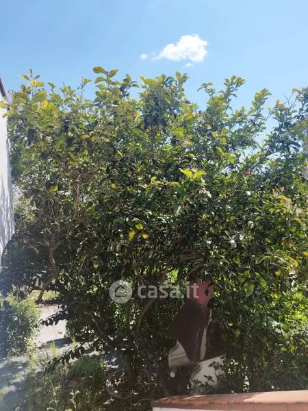 Garden - Villa with Private Garden in Bernalda