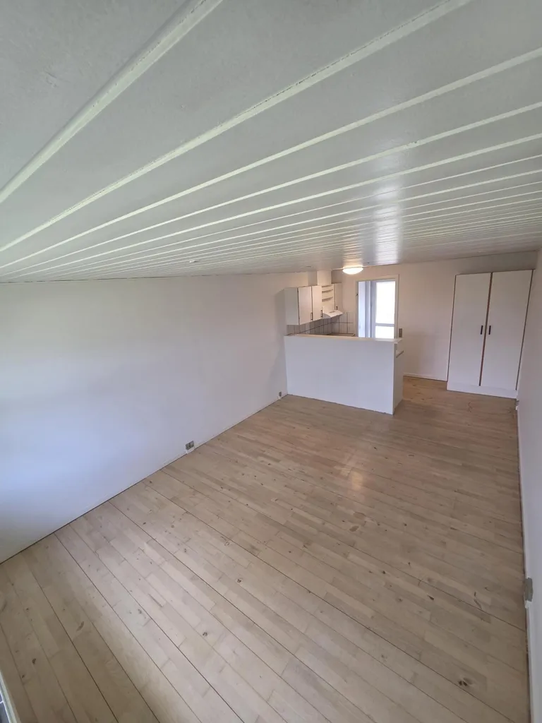 Séjour - Renovated Studio Flat with Terrace in Ørnhøj