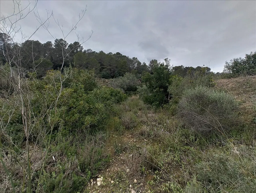 Jardin - Rustic Land with Vineyard in La Llosa de Ranes