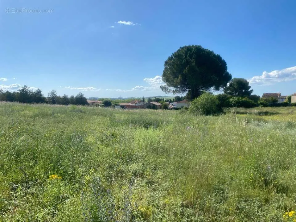 Aed - Plot with Garden in Saint-Chinian