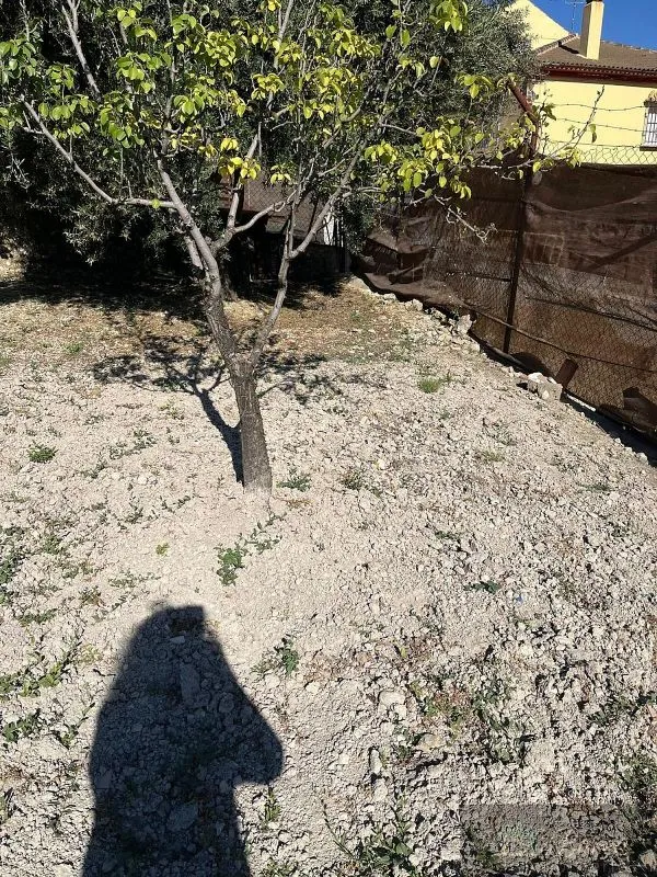 Aed - Plot for Development in Rute