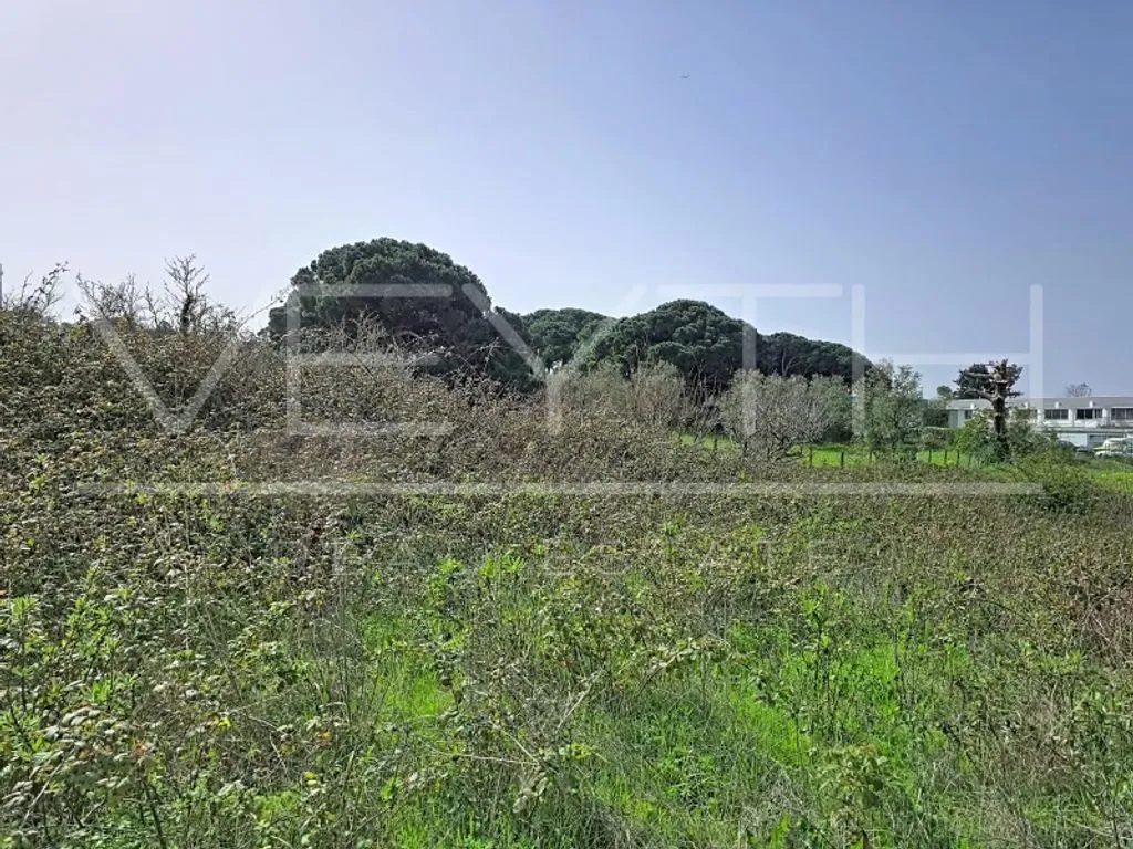 Garden - Development Land with Residential Potential in Sesimbra