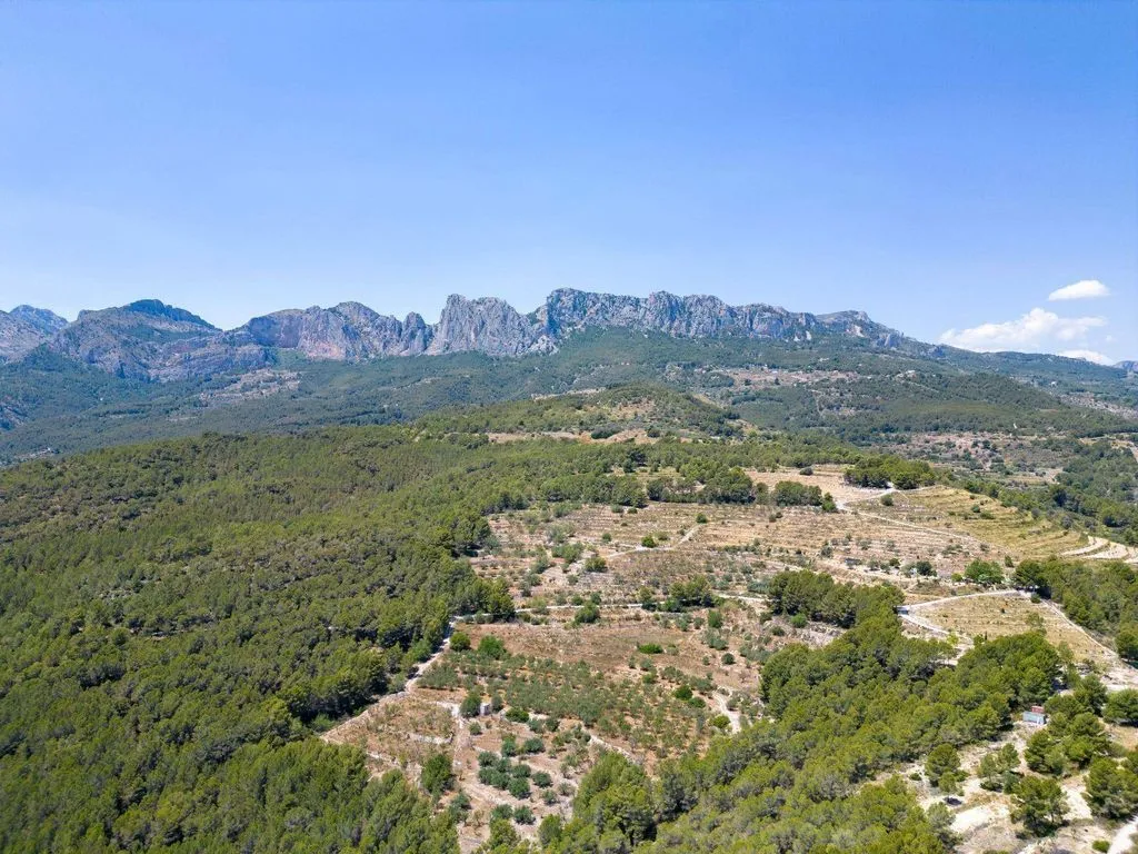 Villa with Pool and Terrace in Callosa d'En Sarrià