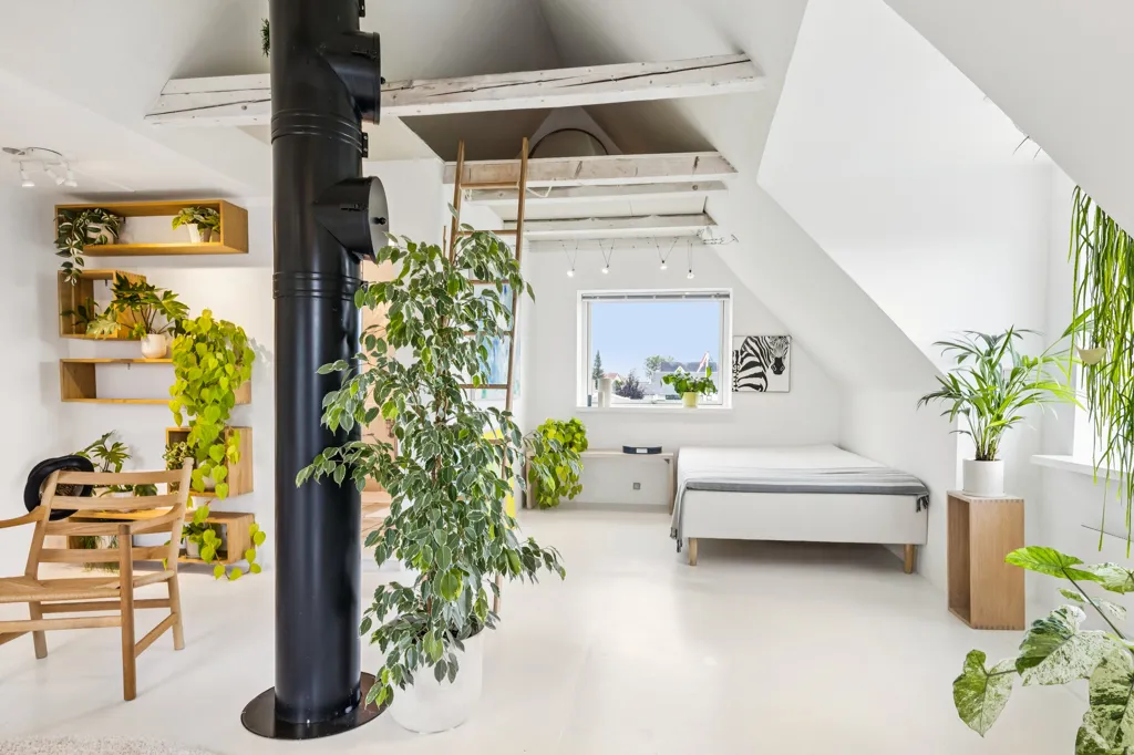 living_room