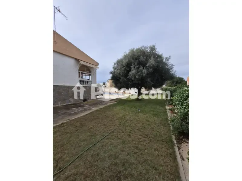 Giardino - Chalet with Garden in El Chaparral, Torrevieja