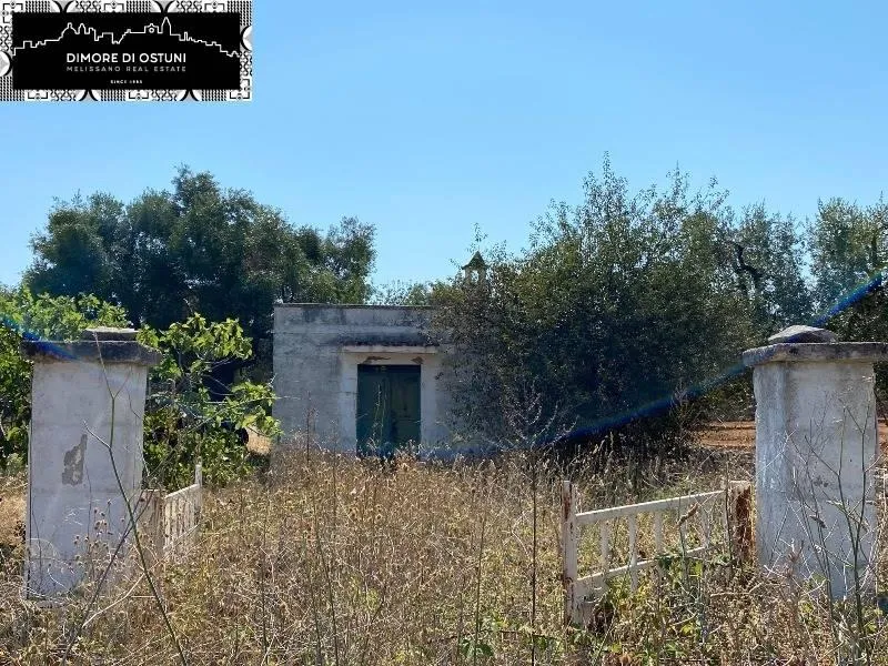 Rustic Lamia with Olive Grove in Ostuni