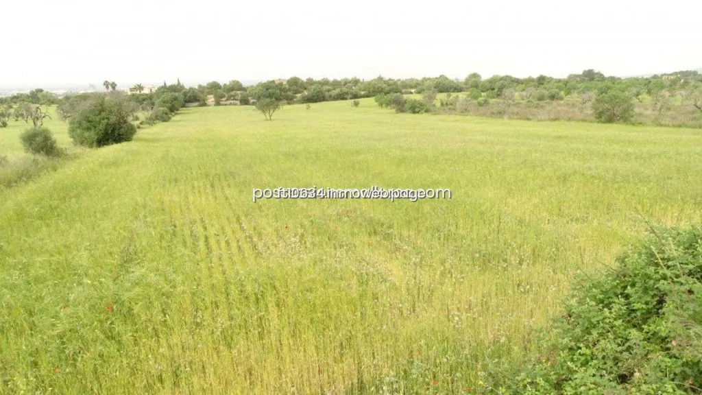 Garden - Rustic Plot with Panoramic Views in Llucmajor