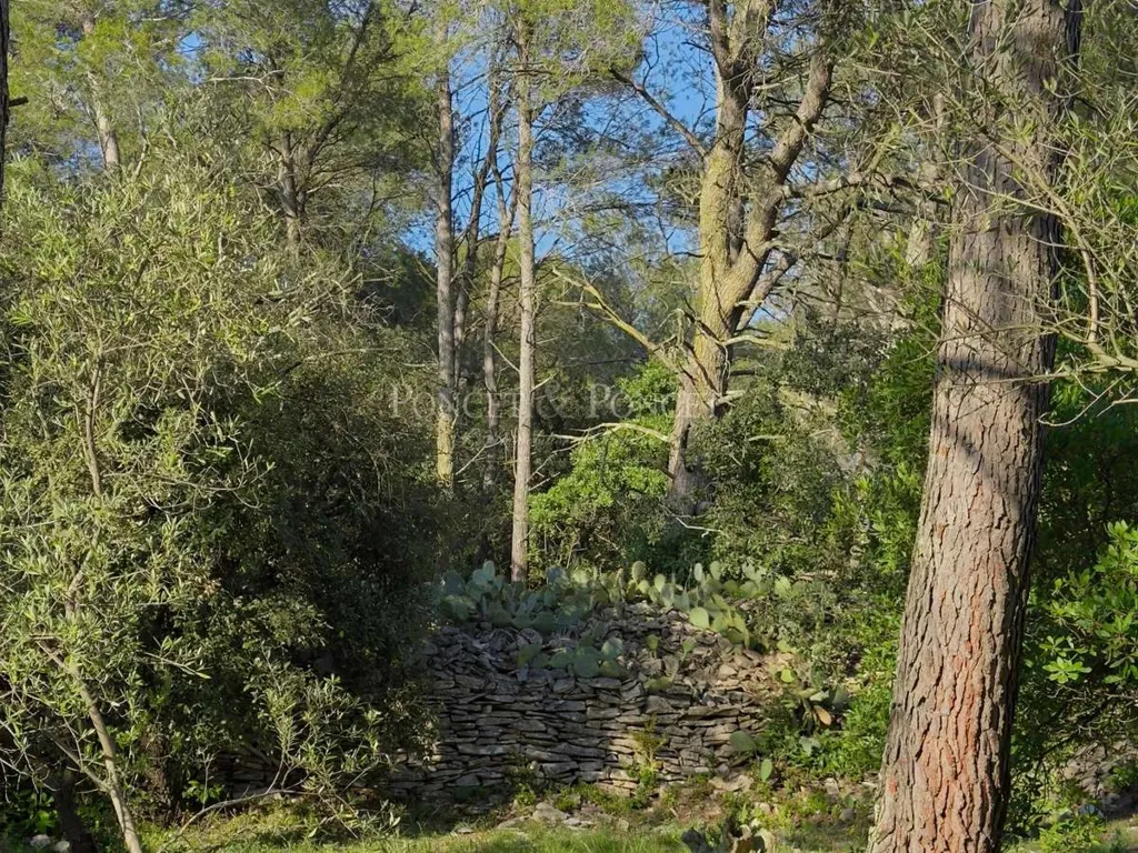 Jardin - Maison de Luxe avec Piscine à Nîmes