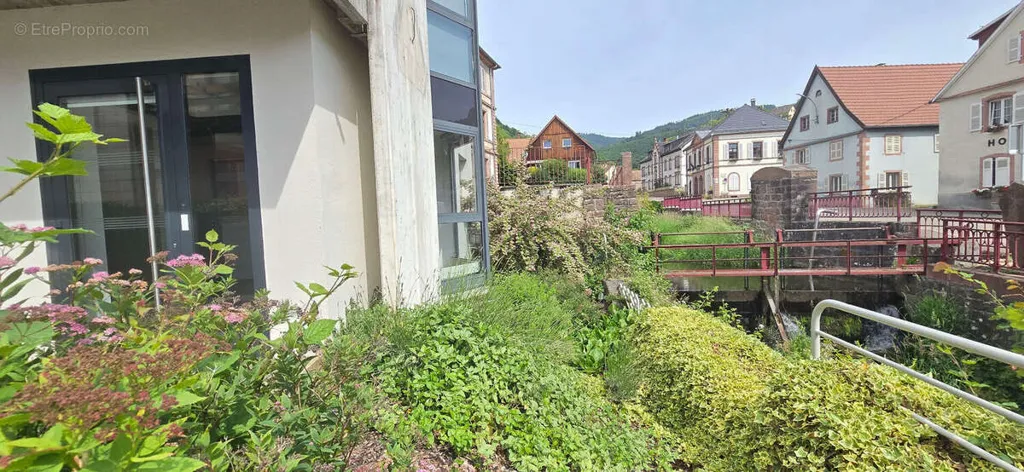 Extérieur - Bâtiment Professionnel Rénové à Fréland