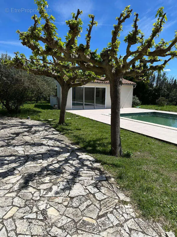Bassein - Villa with Pool in Entragues-sur-la-Sorgue