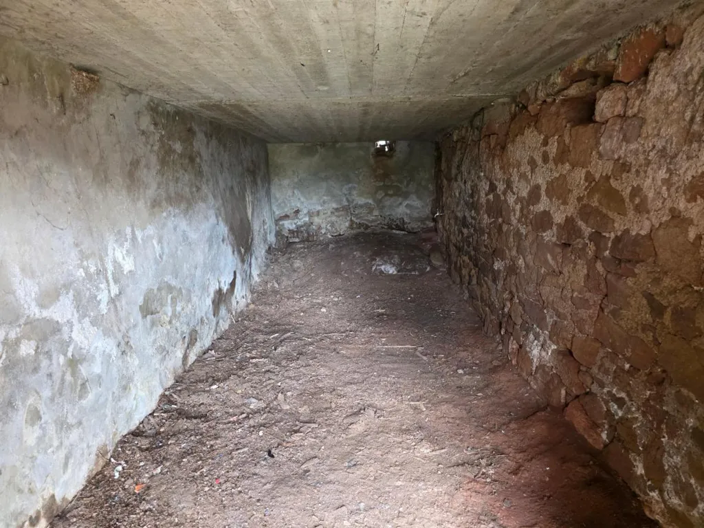 cellar