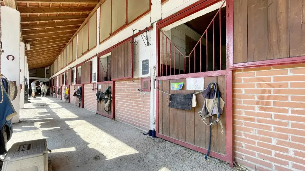Villa with Equestrian Centre in Ameno