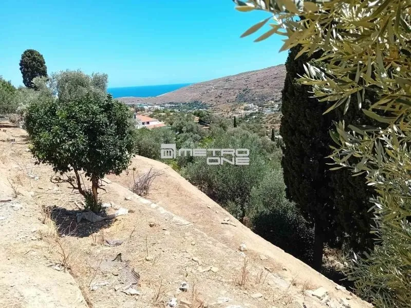 Giardino - Buildable Plot with Open Views in Andros