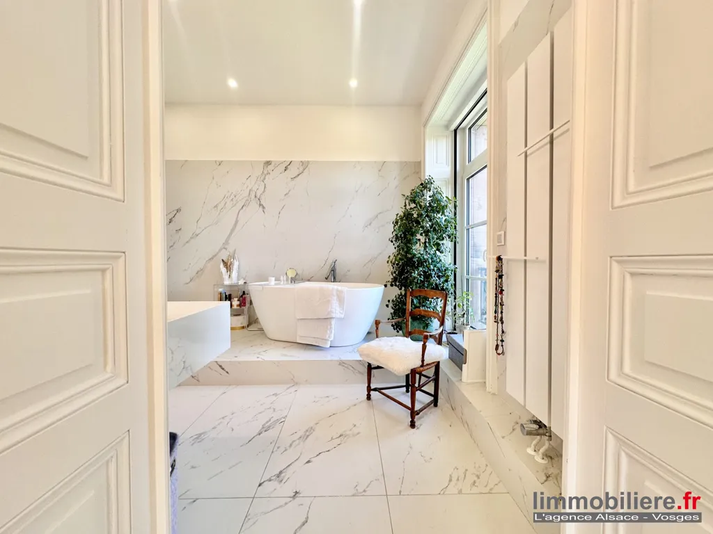 Bagni - Luxury Flat with Park Views in Saint-Dié-des-Vosges