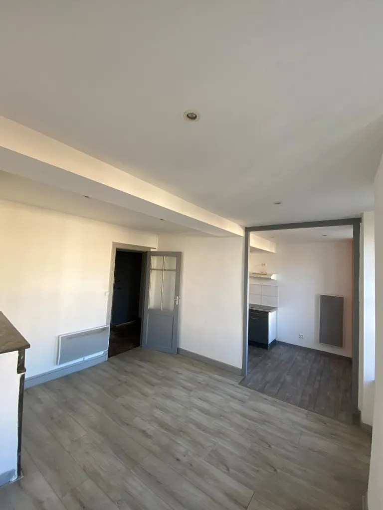 Séjour - Appartement Rénové de Type 3 au Centre de Castelnaudary