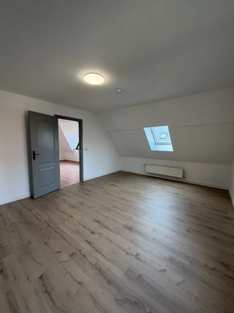 Toad - Spacious Apartment in Marche Centre