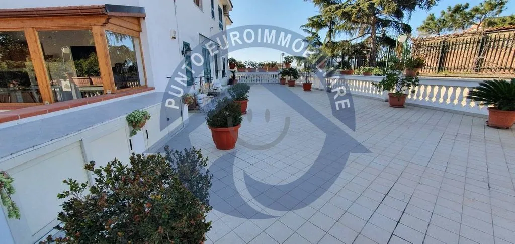 terrace_patio