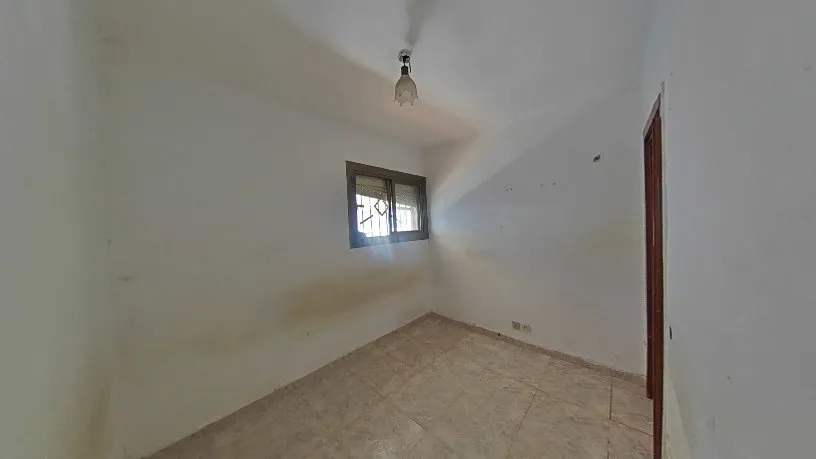 Toad - Functional Flat with Tour in Barcelona