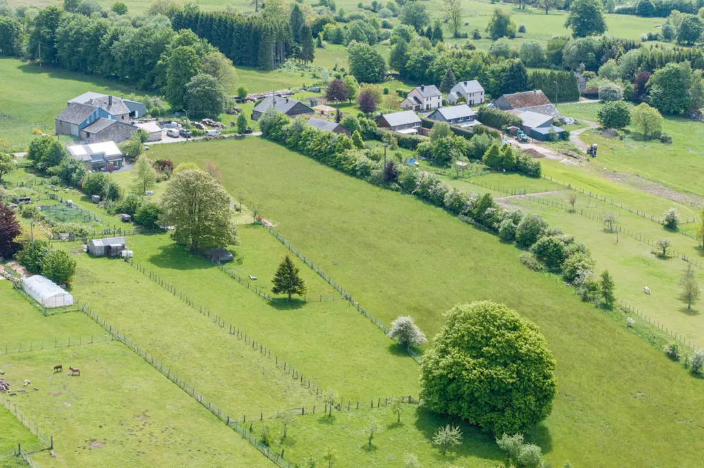 Õhuvaade - 1 Hectare Land in Censes, Houffalize