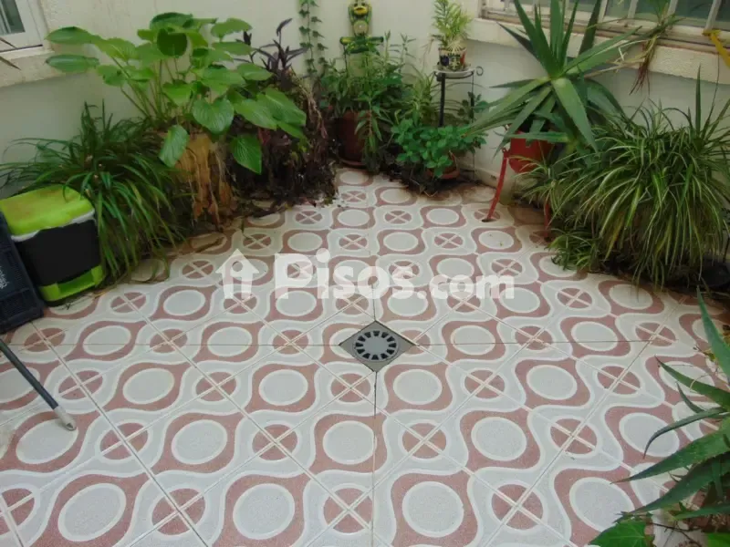 Jardin - Spacious Flat with South Orientation in Valdepeñas