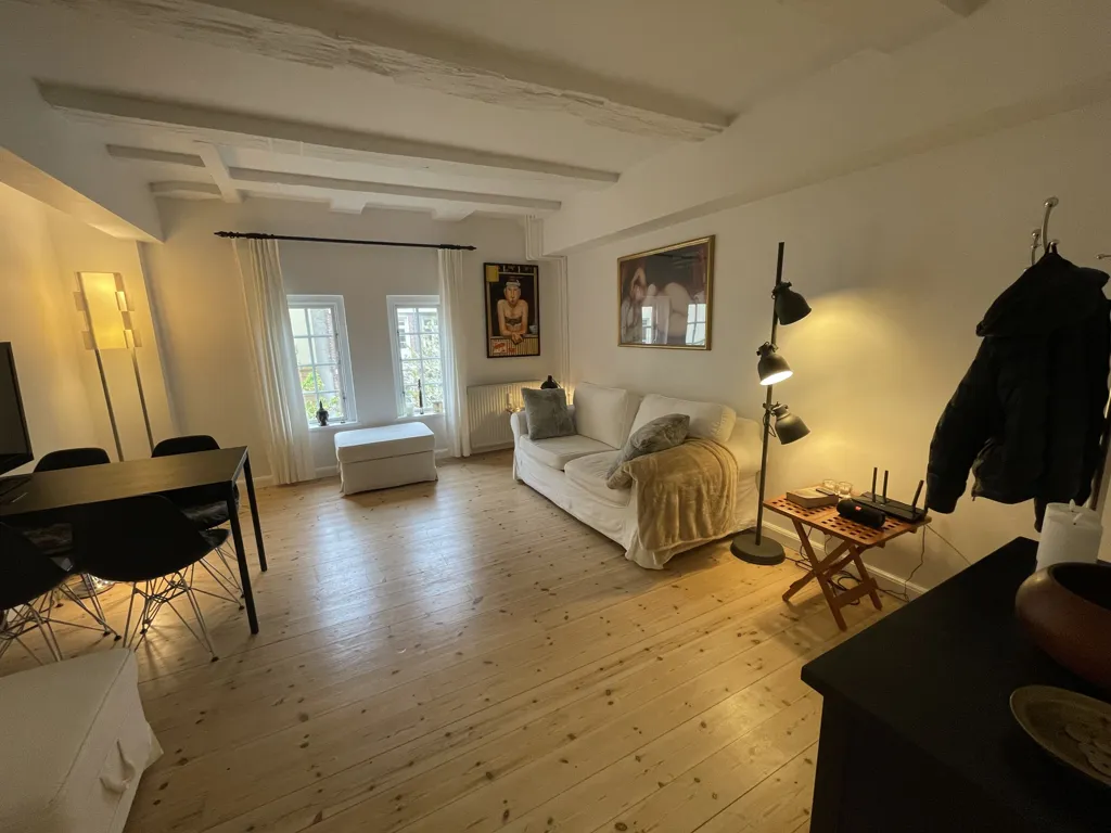 Séjour - Furnished Studio with Garden in Vesterbro