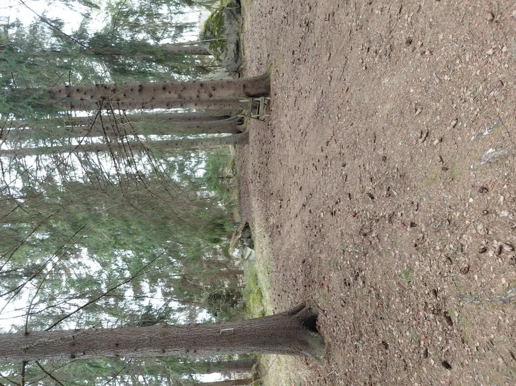 Terrain à Porvoo