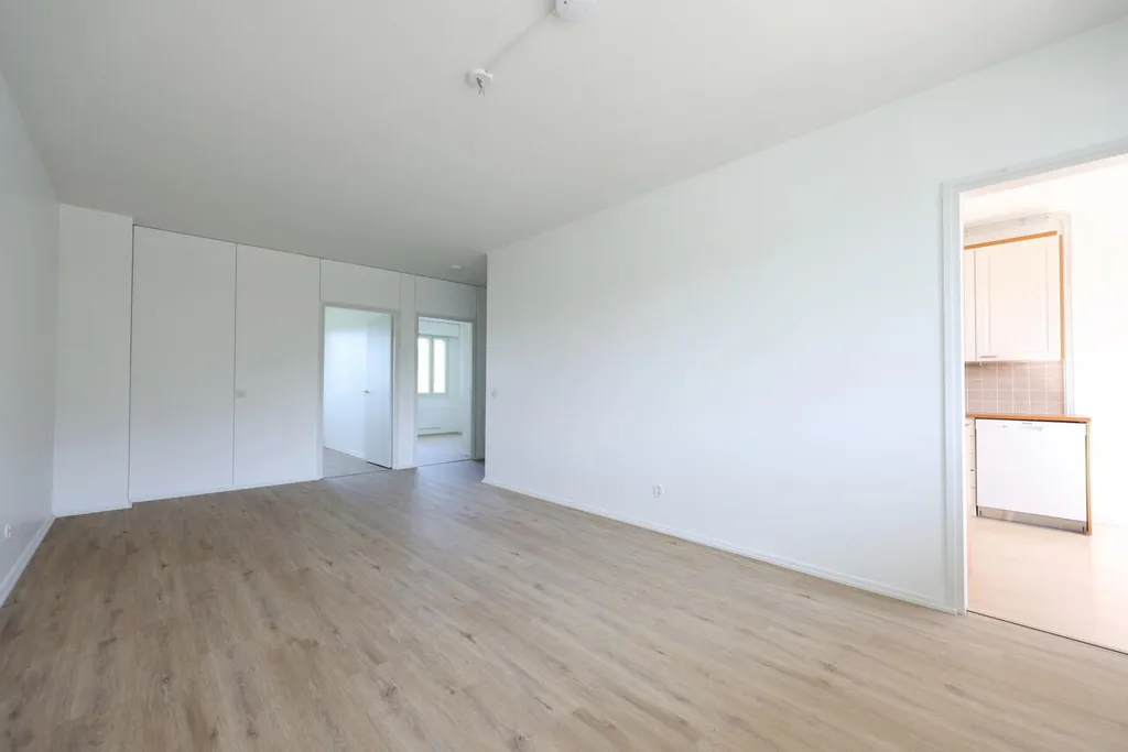 Pièces - Modernised Apartment with Balcony in Ojoisten