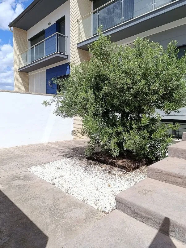 Jardin - Terraced Semi-Detached House in Benaguasil
