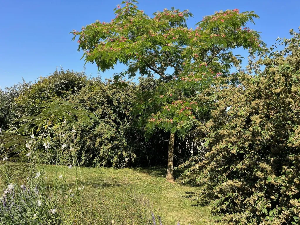 Jardin - Villa avec Jardin et Parking à Salornay-sur-Guye